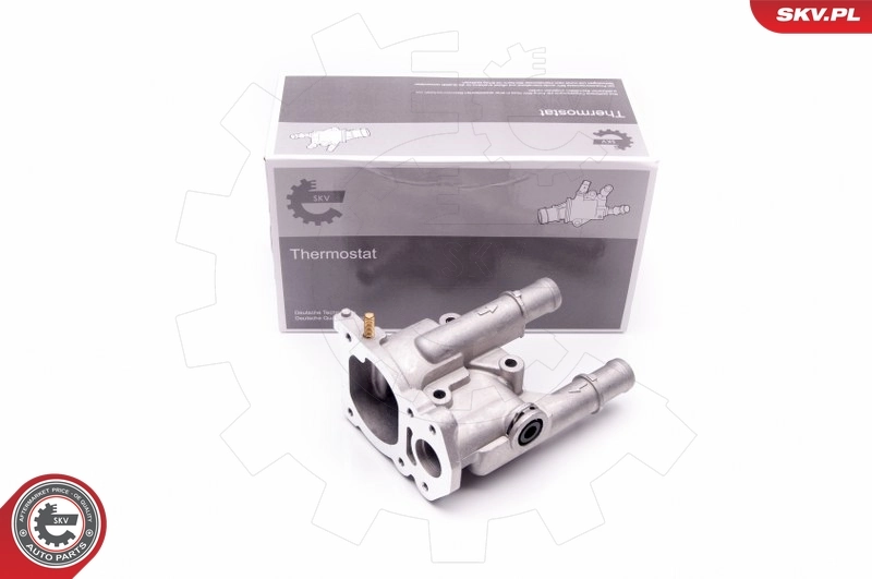 Thermostat, coolant